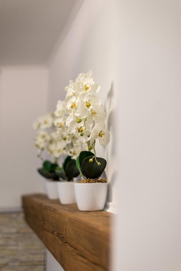 Orchideen Apartment Филах Екстериор снимка